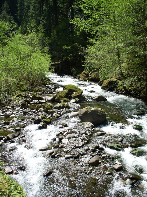 5.5.06 Eagle Creek 075 